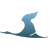 JS-v-21715