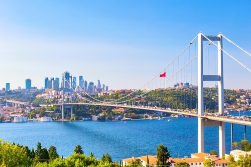Москва - Стамбул flight ticket